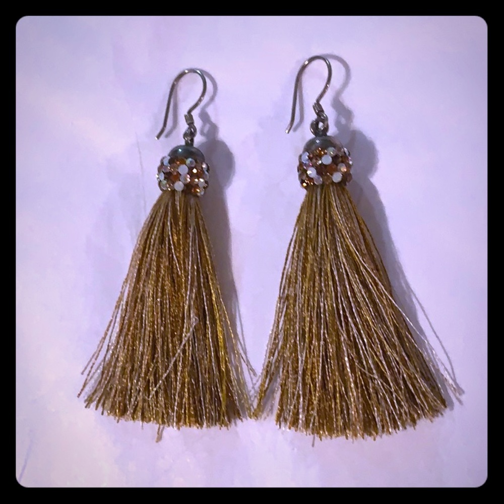 NWOT Tassel Earrings